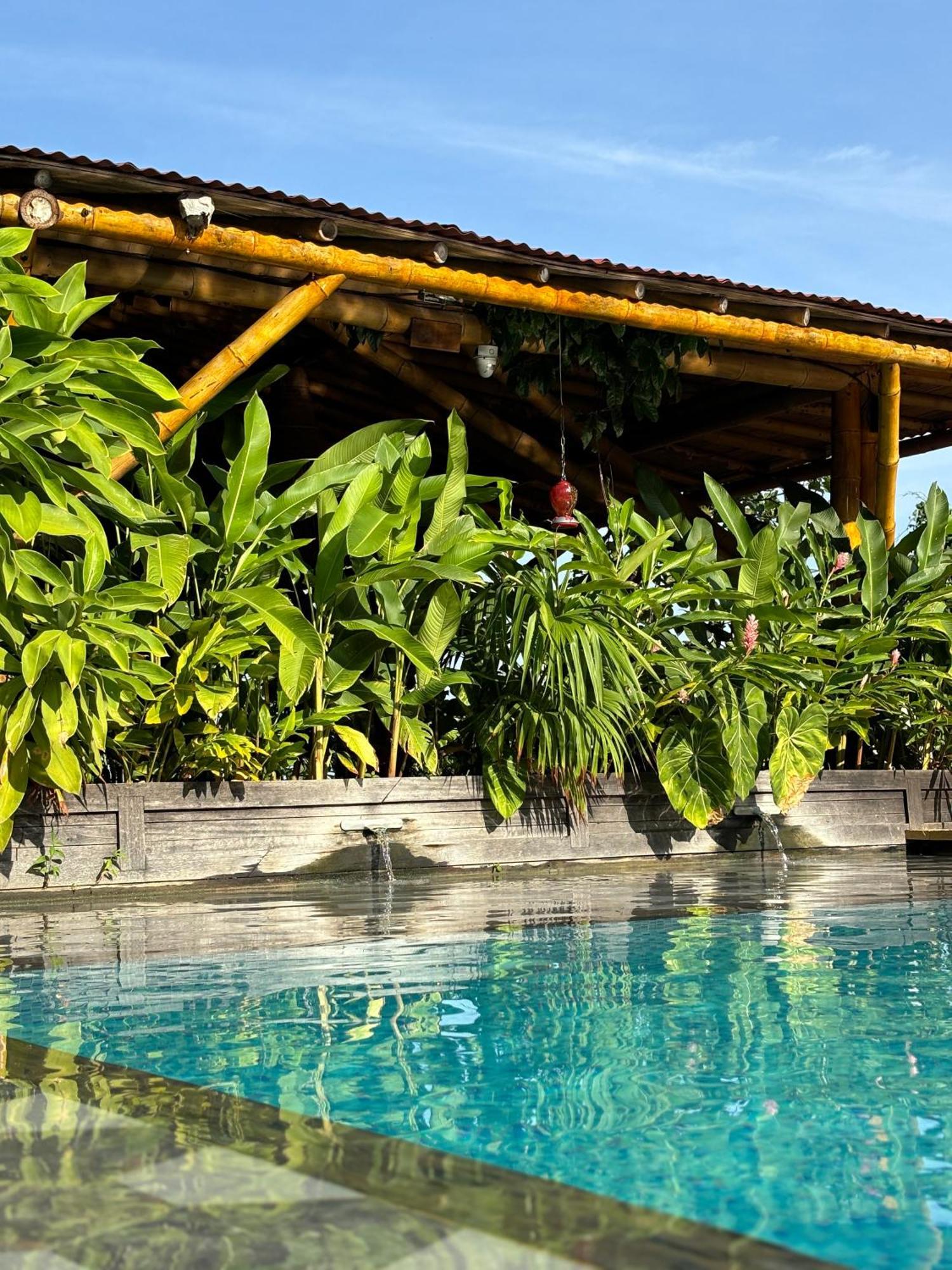La Veranda Hotel & Restaurant Minca Ngoại thất bức ảnh